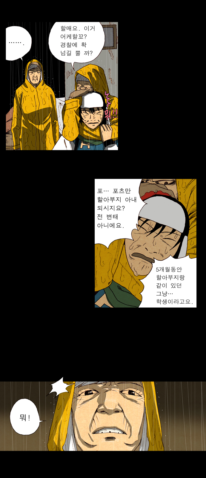 17 페이지