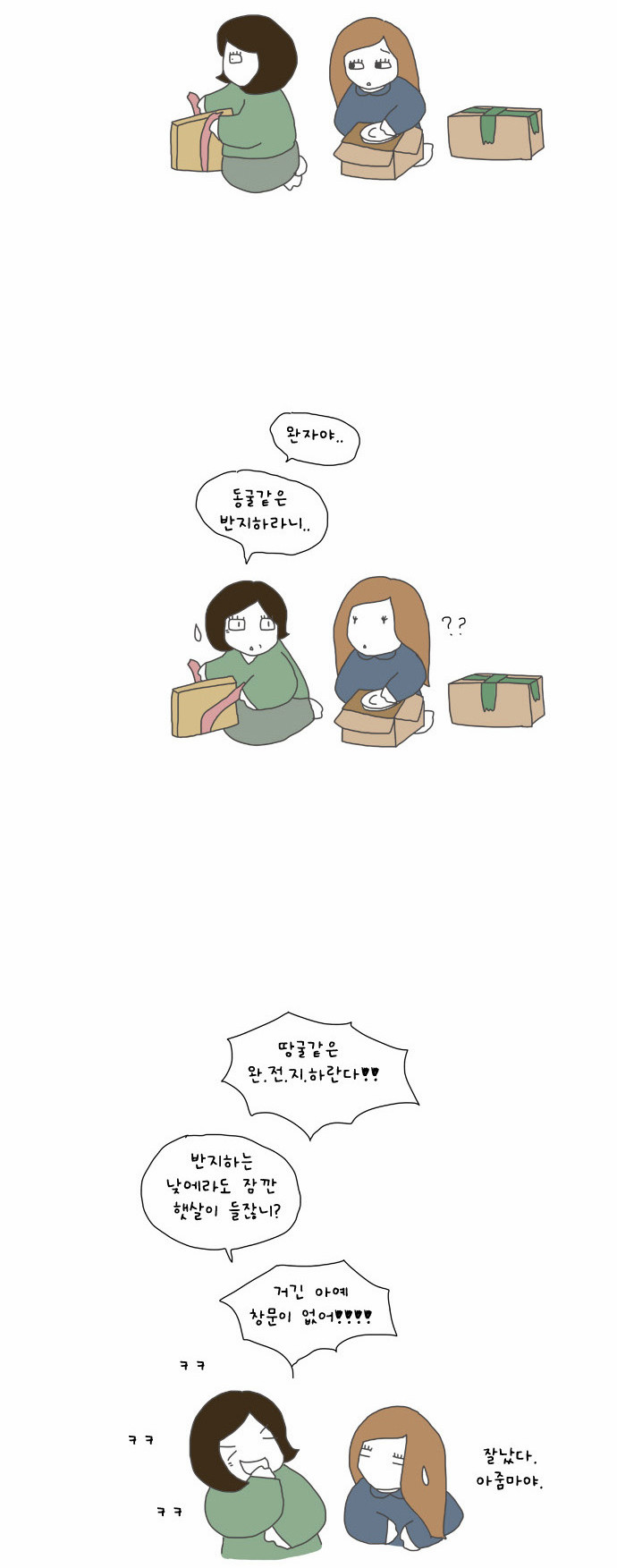 5 페이지