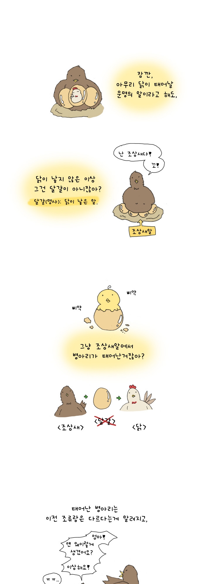 9 페이지