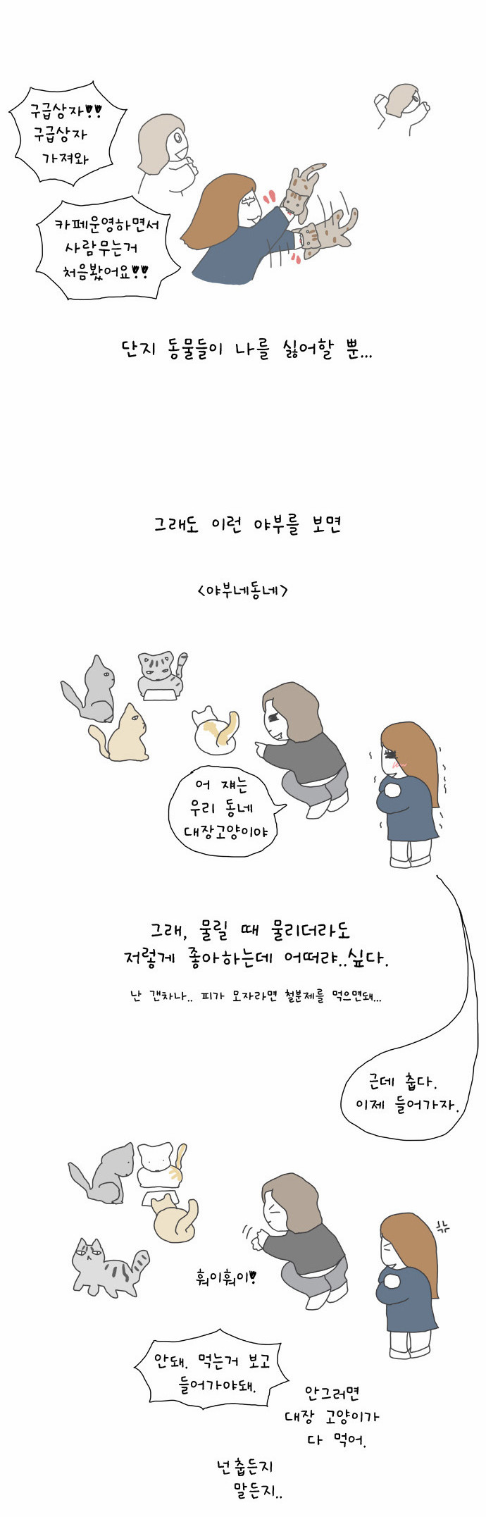 6 페이지