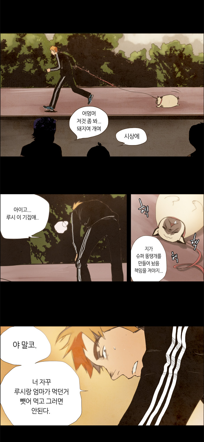 21 페이지