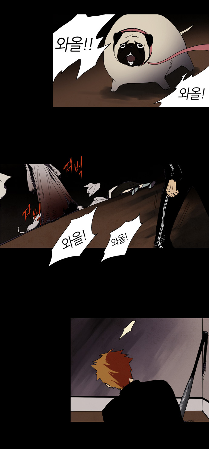 13 페이지