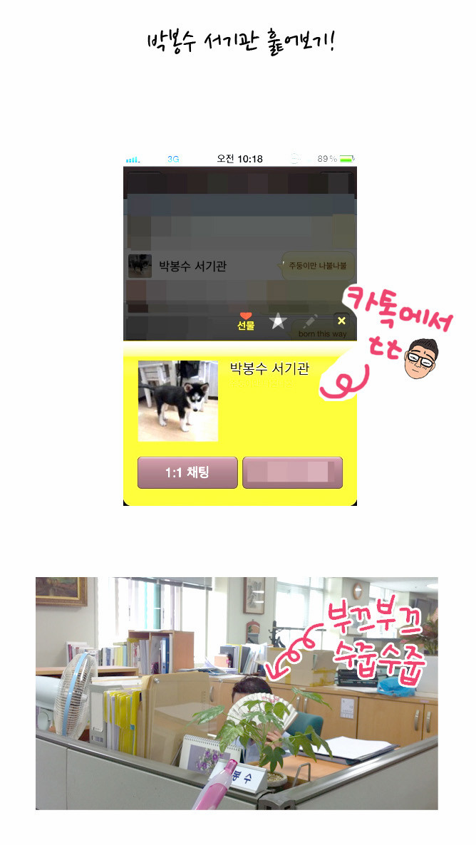 19 페이지