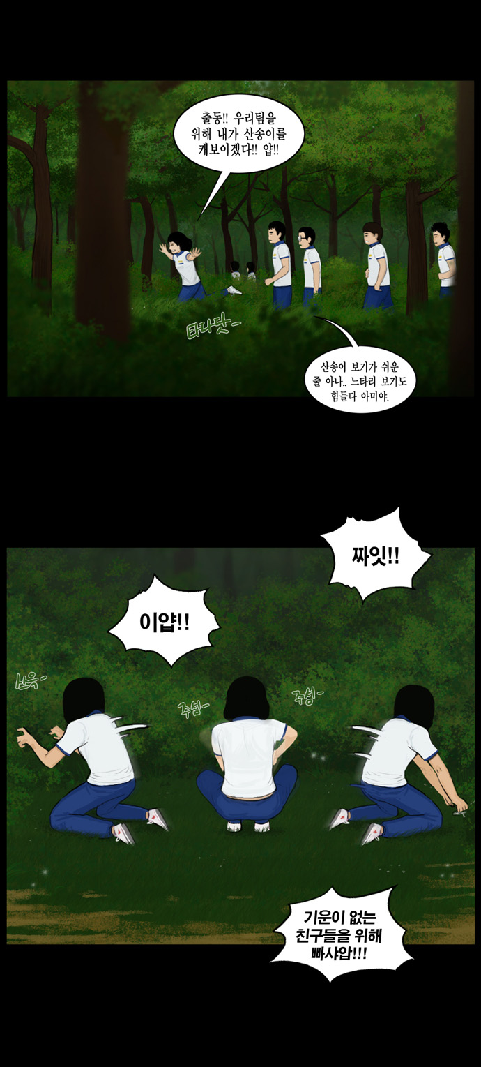 14 페이지
