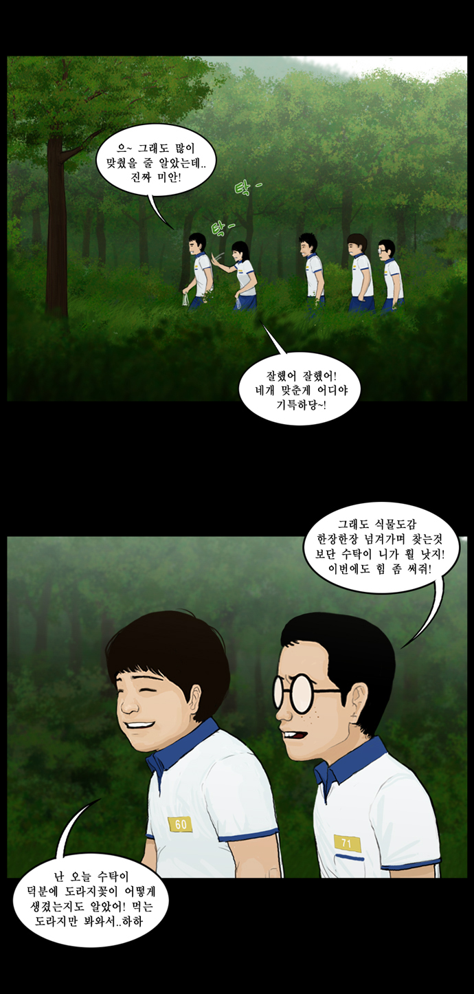 13 페이지