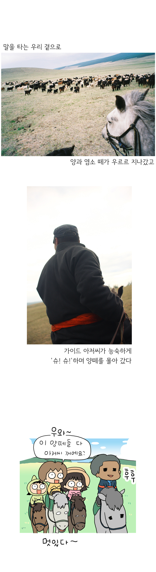 11 페이지