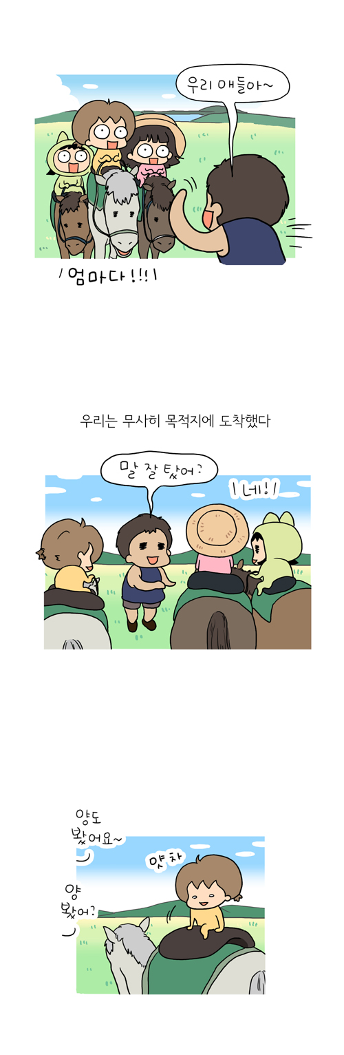 13 페이지