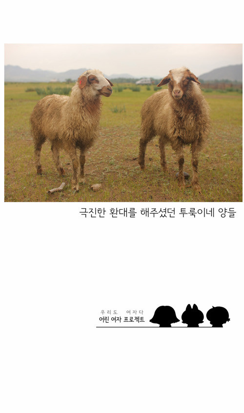 16 페이지