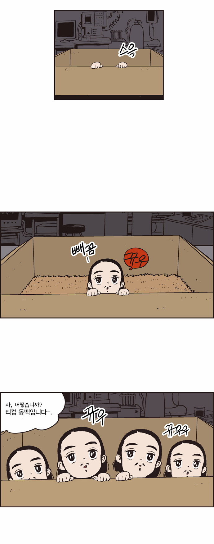 7 페이지