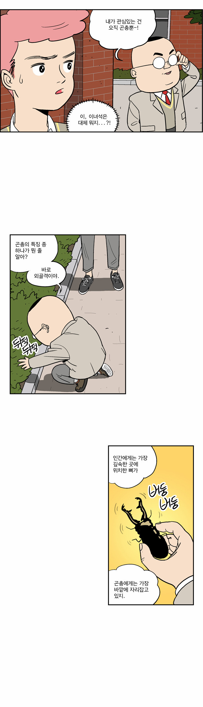3 페이지