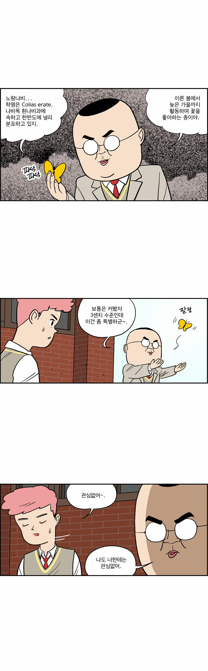 2 페이지