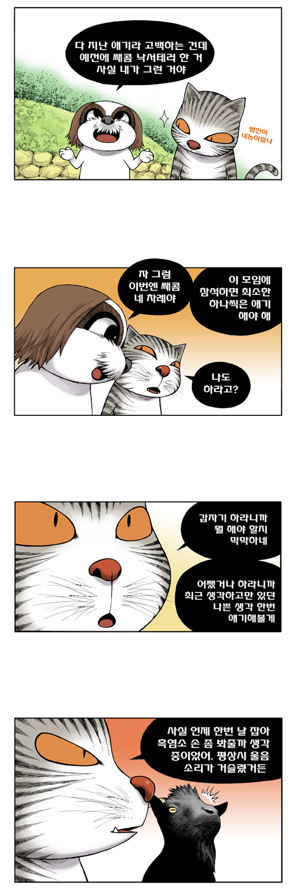 5 페이지