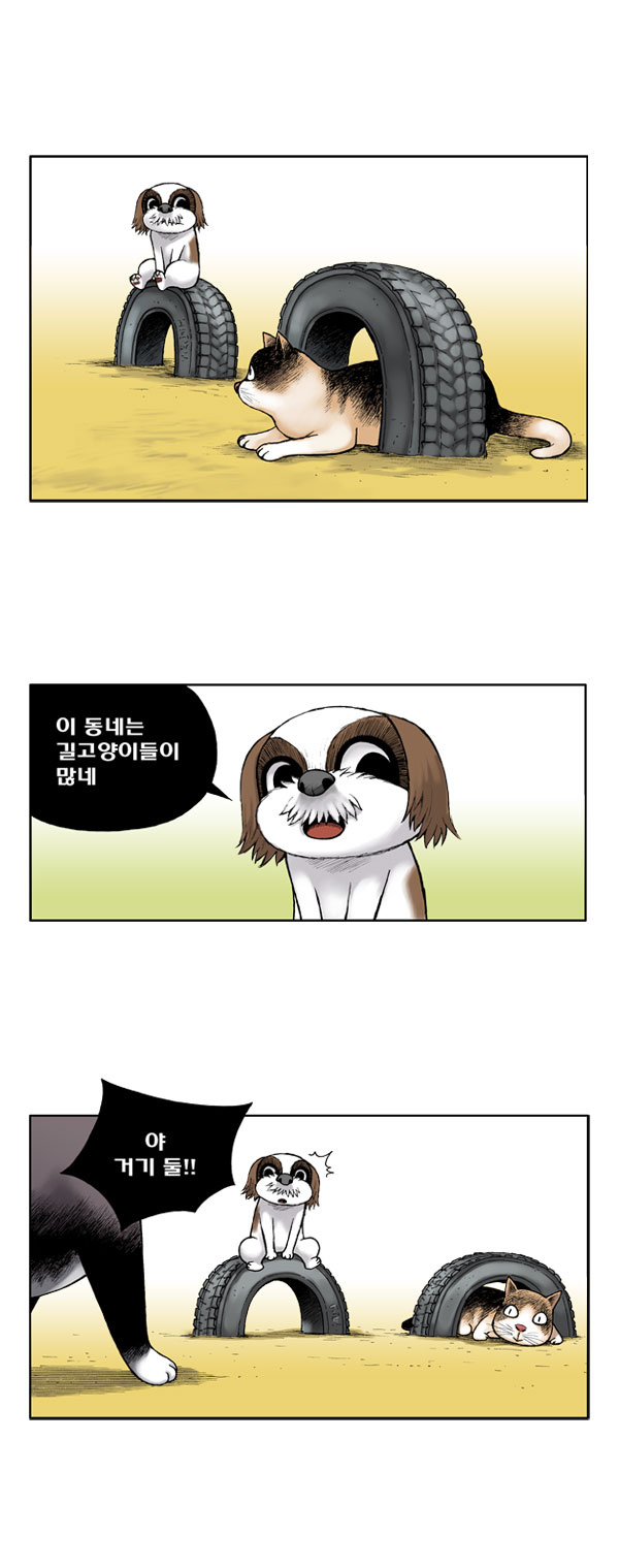 6 페이지
