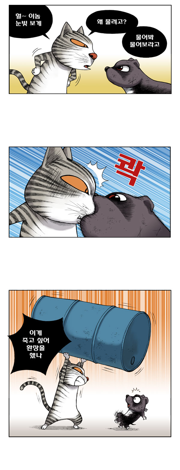 5 페이지