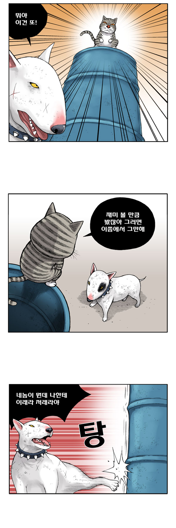 5 페이지
