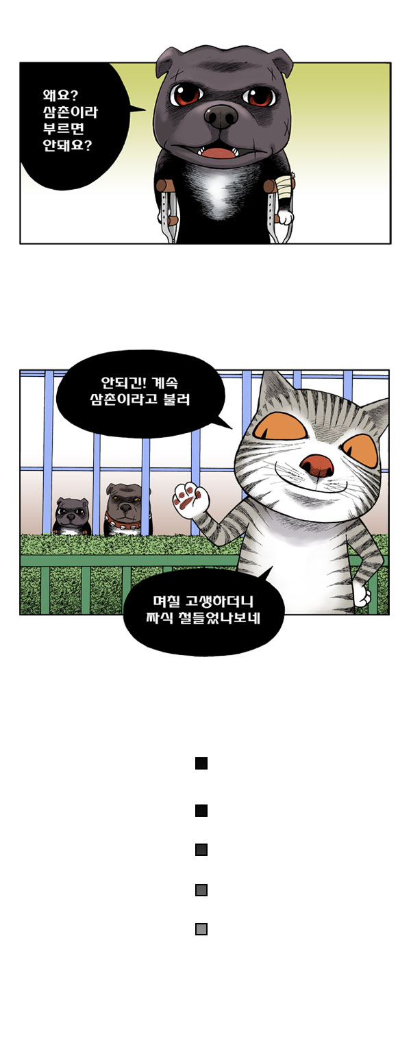 11 페이지