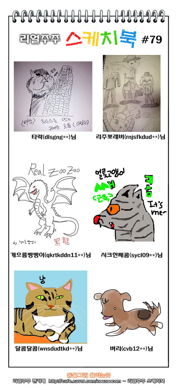 13 페이지