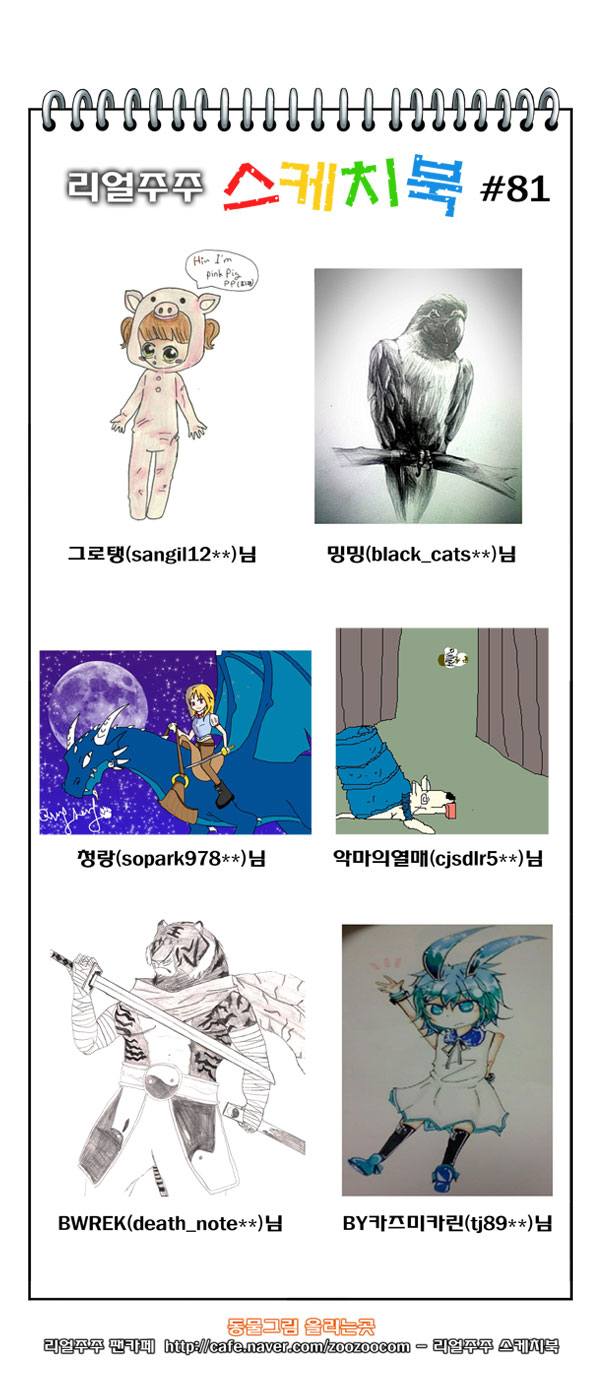 13 페이지