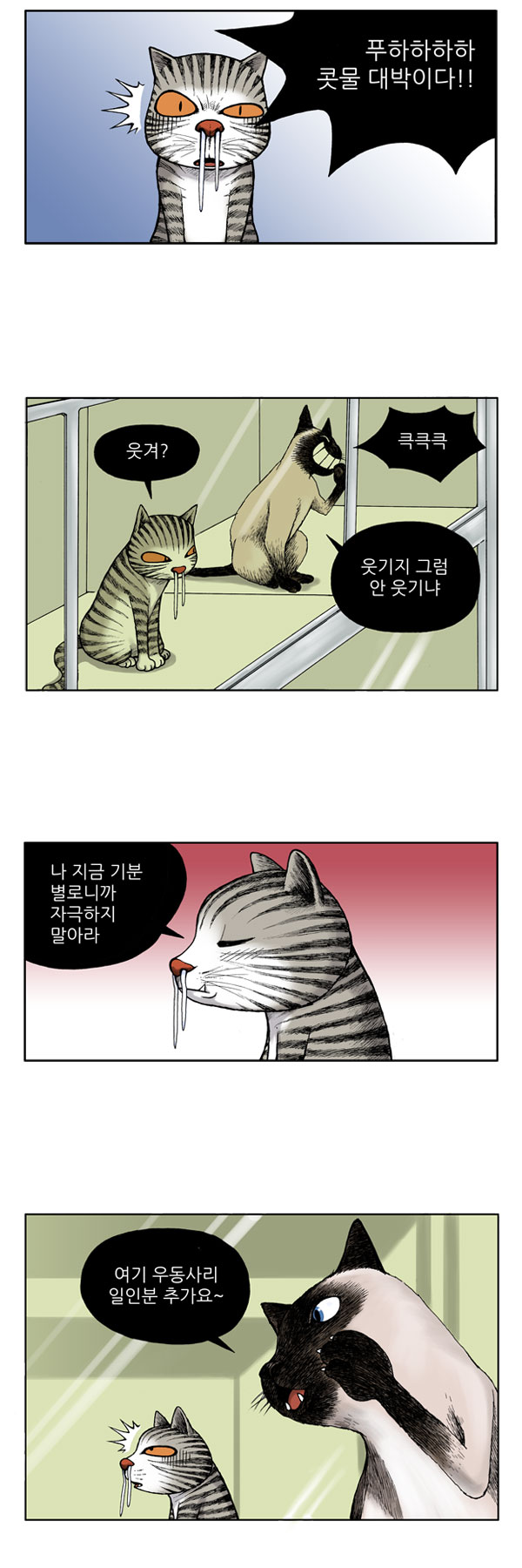 5 페이지