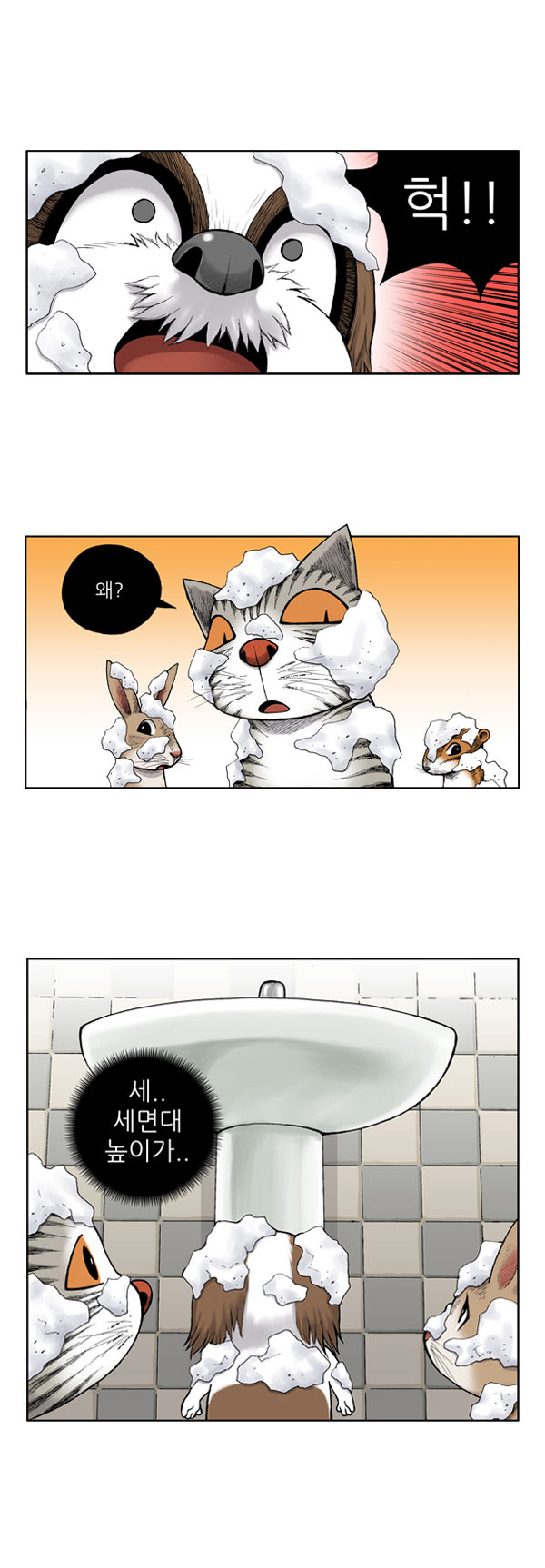 6 페이지