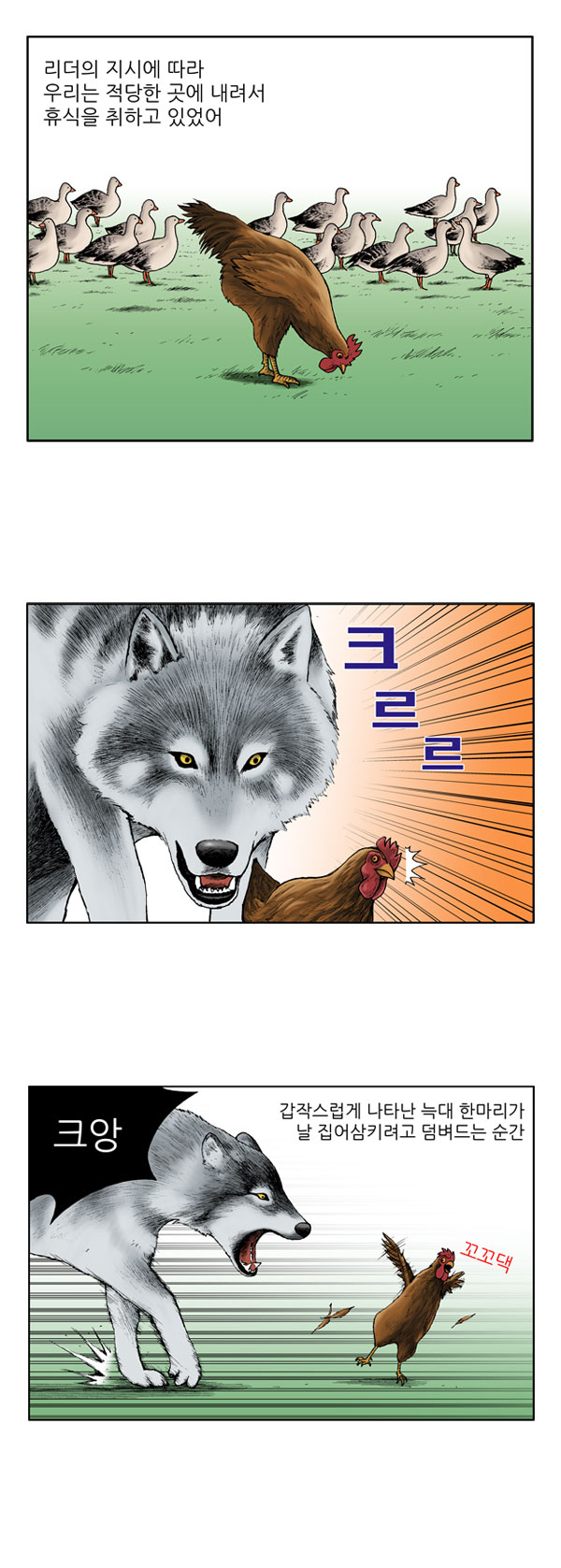 5 페이지