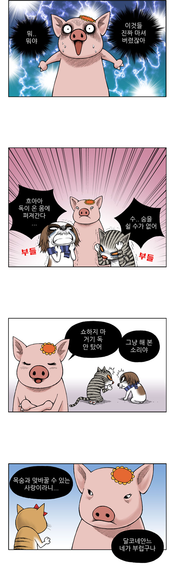 8 페이지