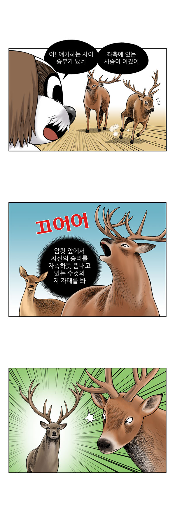 3 페이지