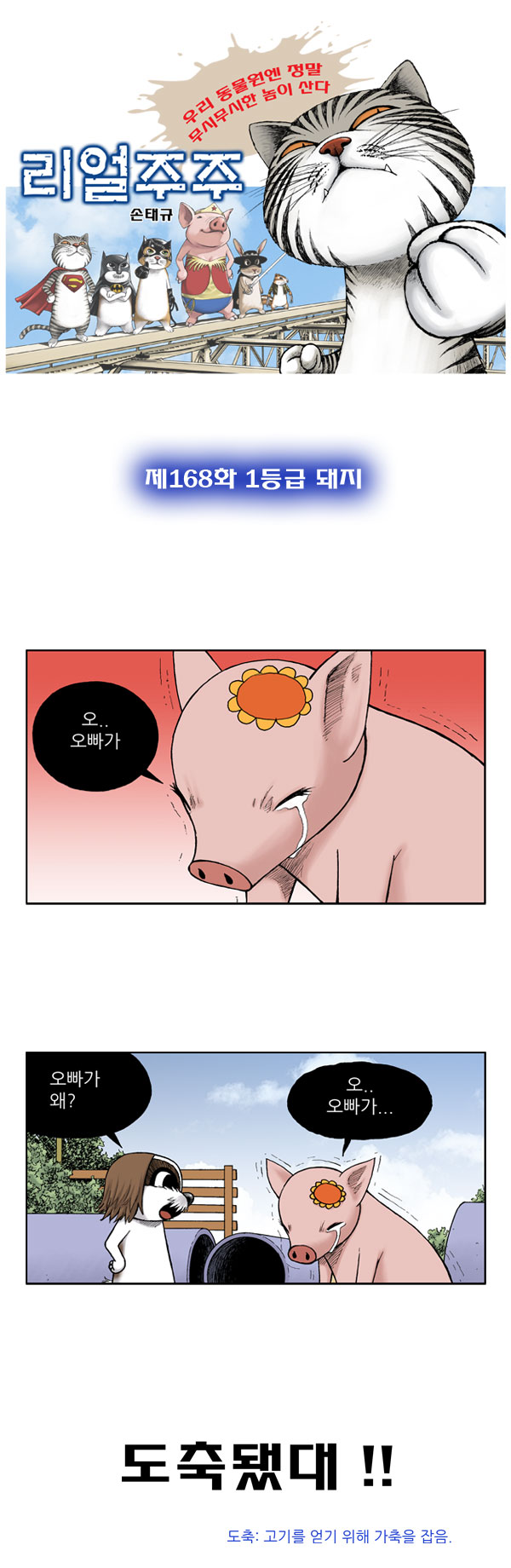 1 페이지