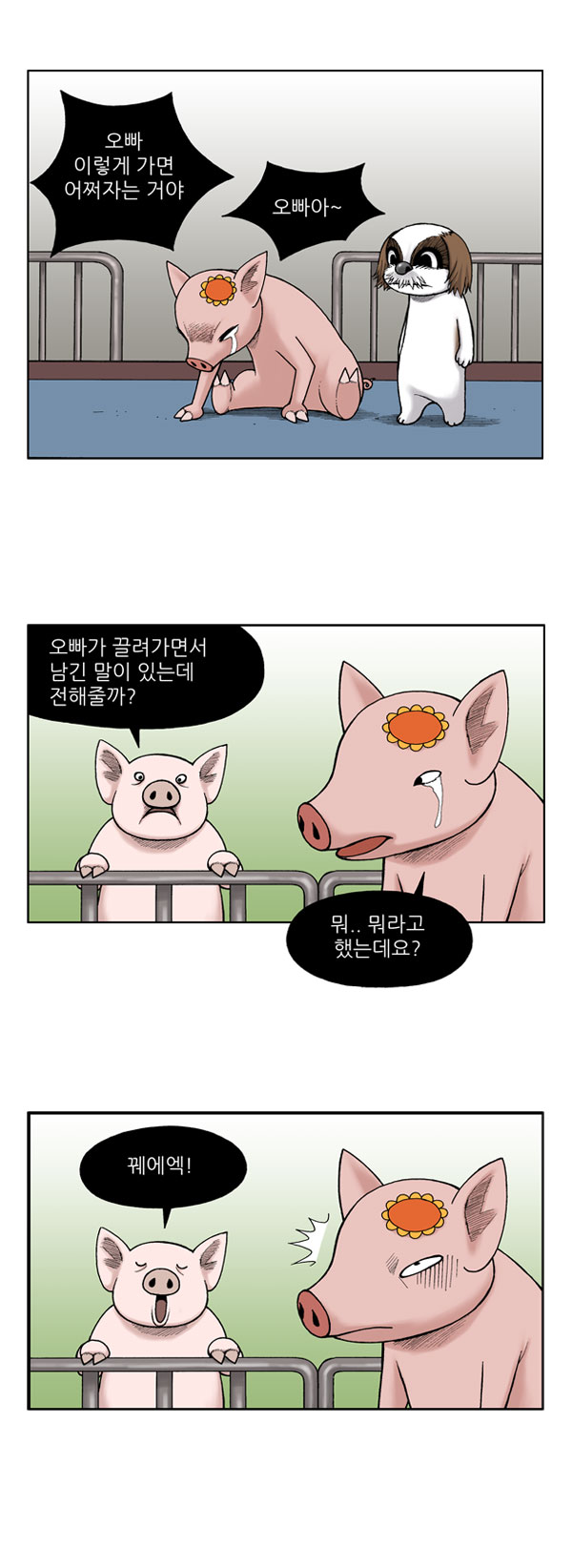 3 페이지