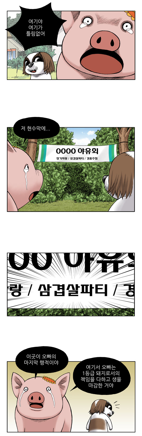 6 페이지
