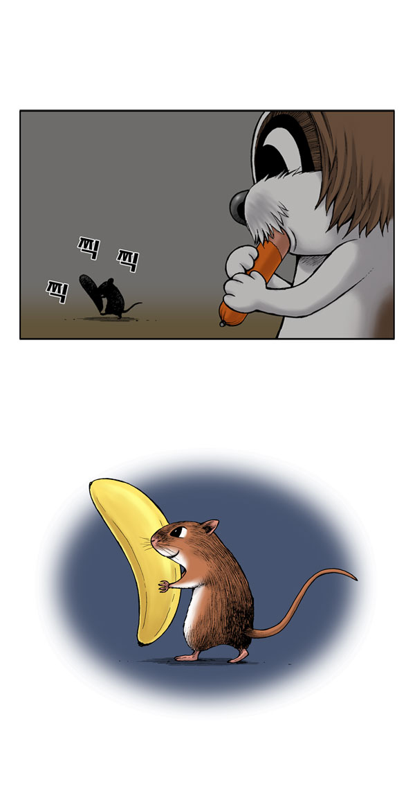 11 페이지