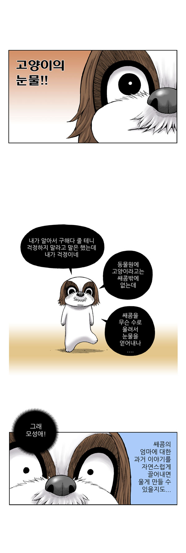5 페이지