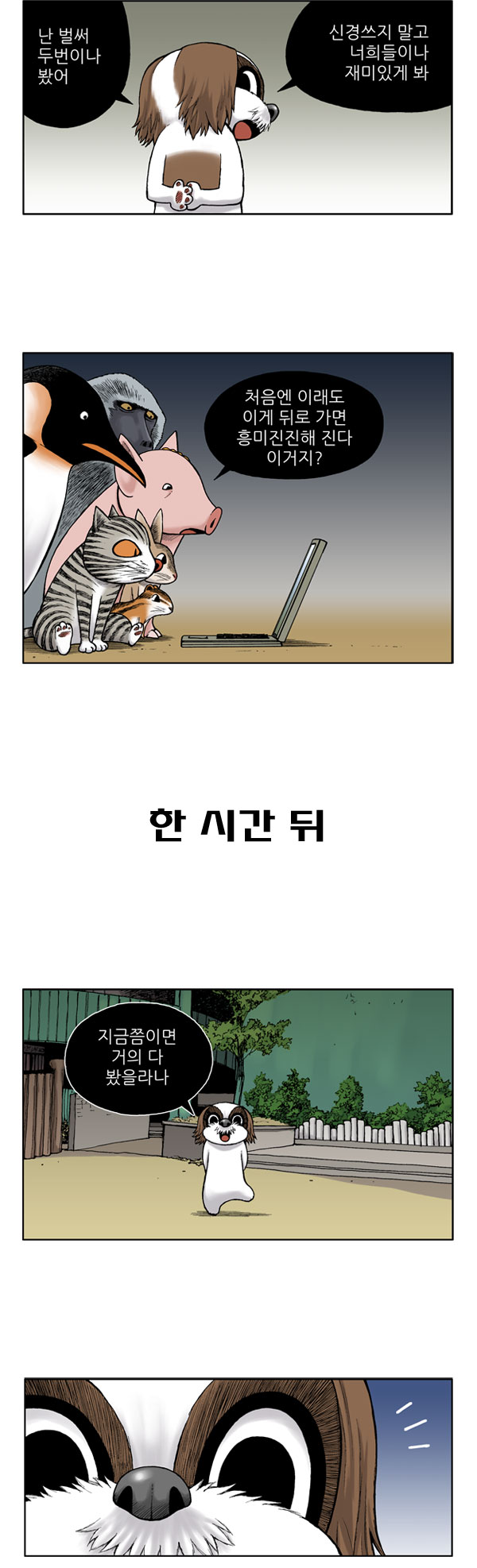 6 페이지
