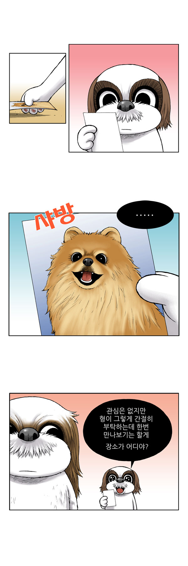 5 페이지
