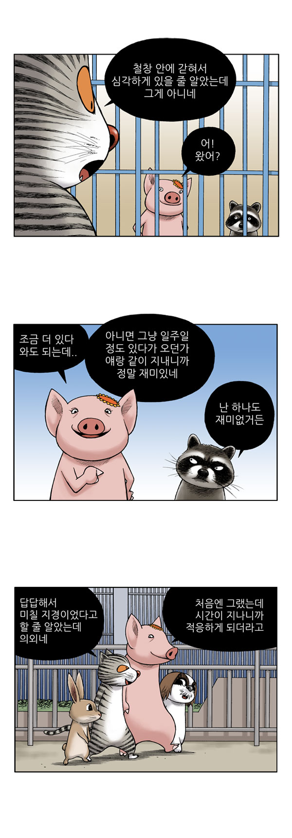 5 페이지