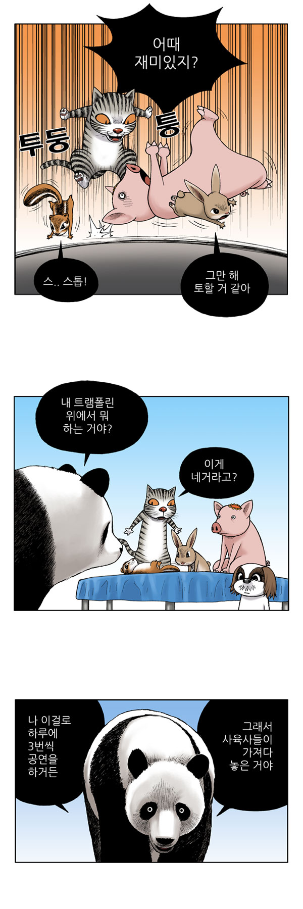 5 페이지