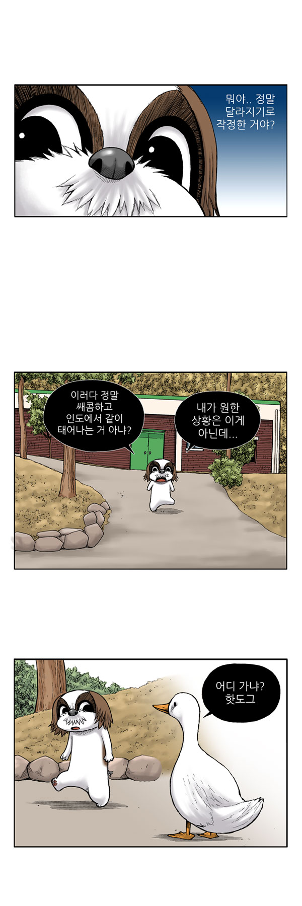 8 페이지