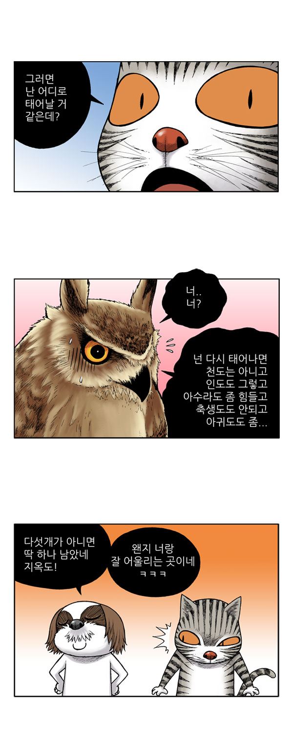 5 페이지