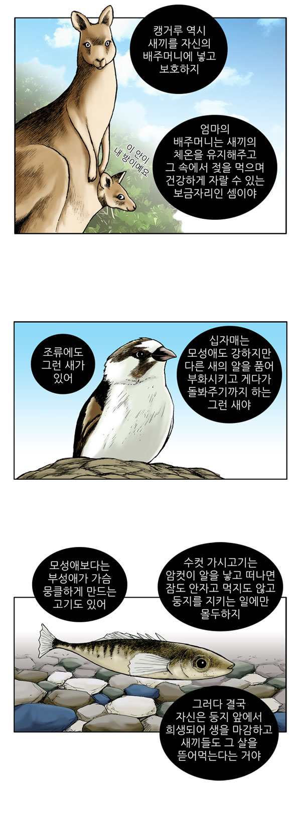 3 페이지