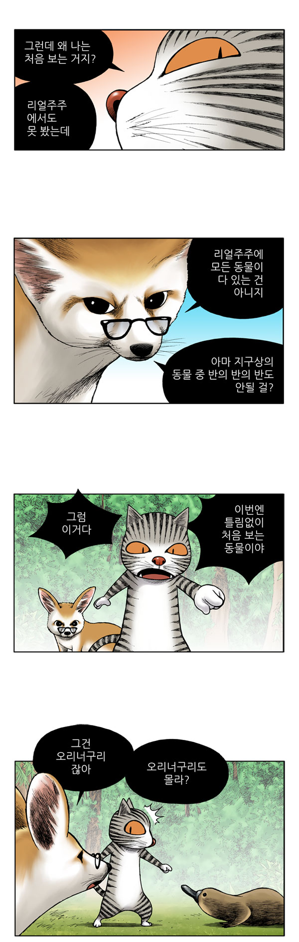 5 페이지