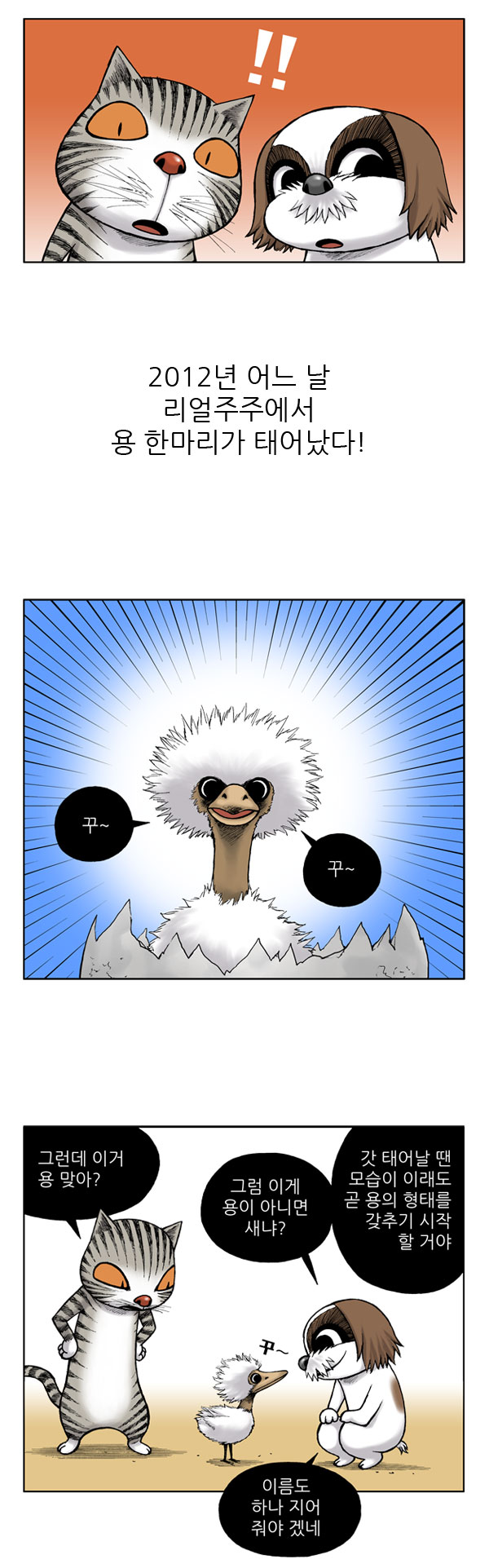 8 페이지
