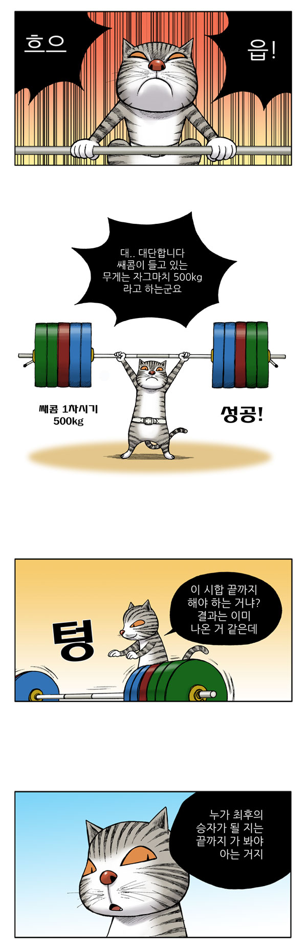 5 페이지