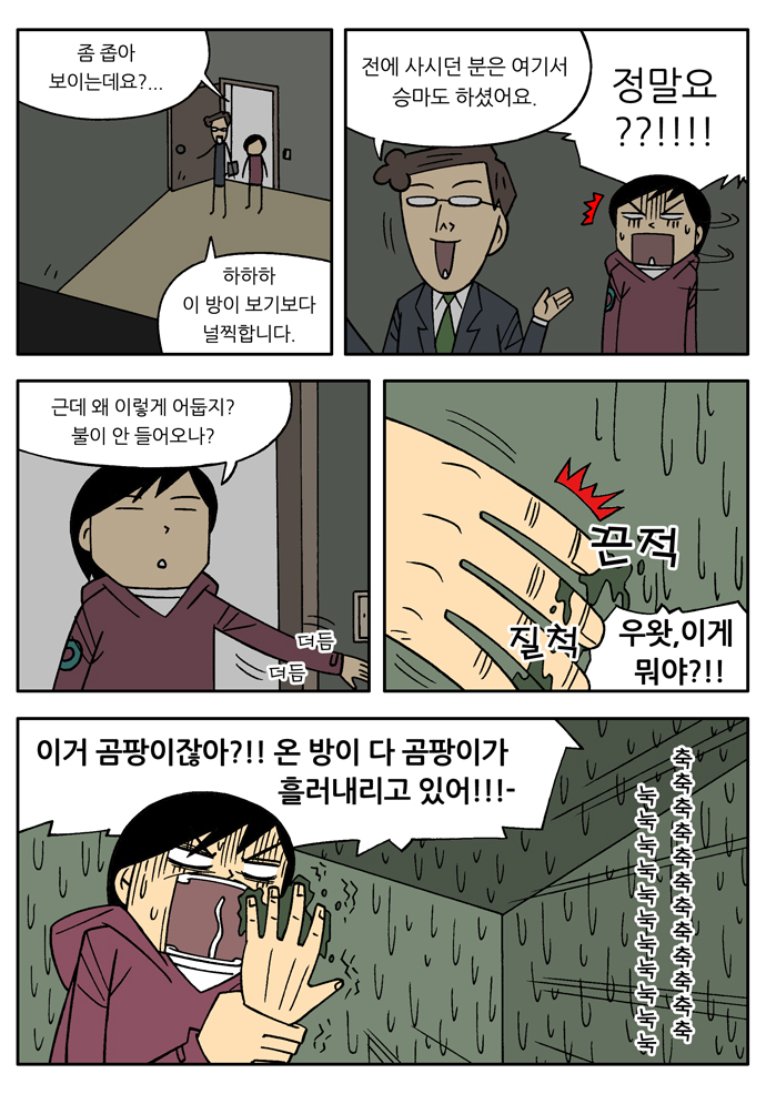 5 페이지