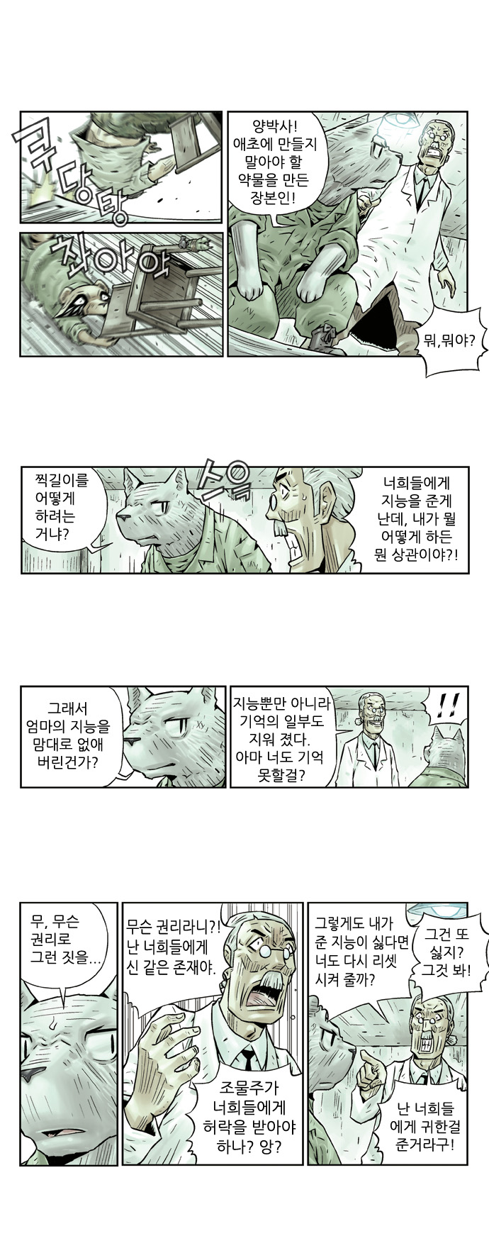 5 페이지