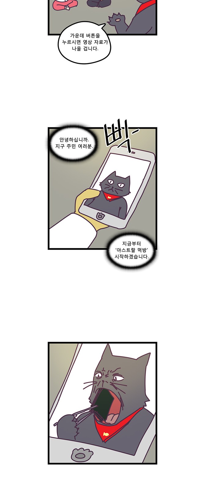 13 페이지