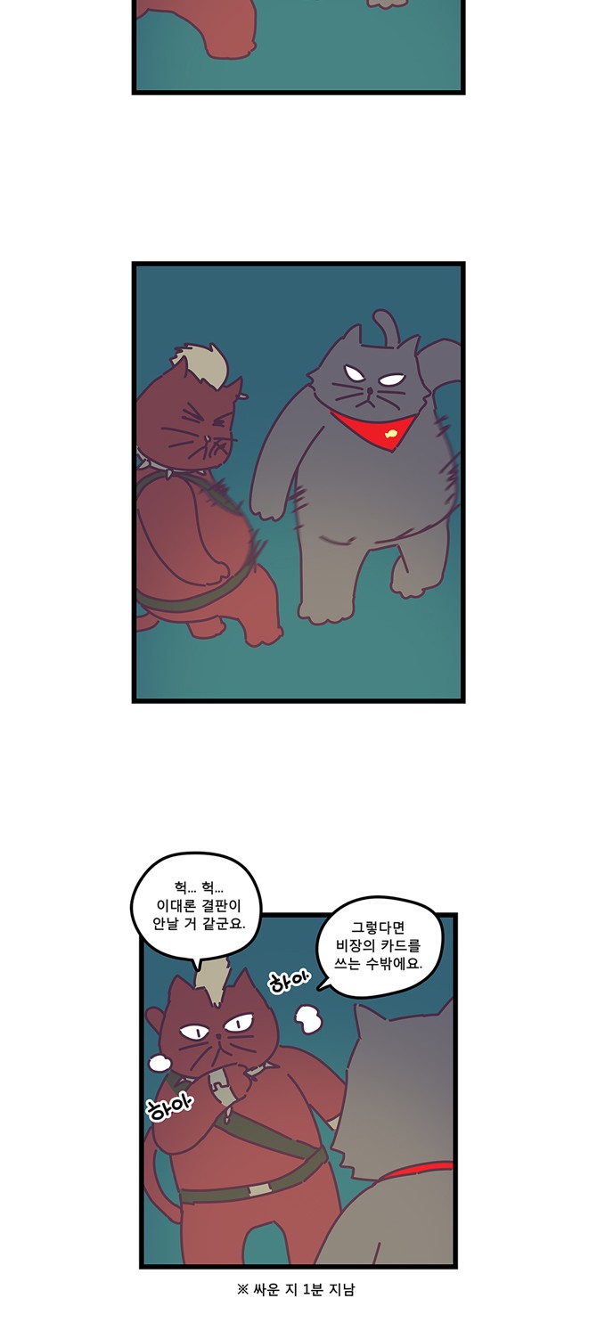 19 페이지