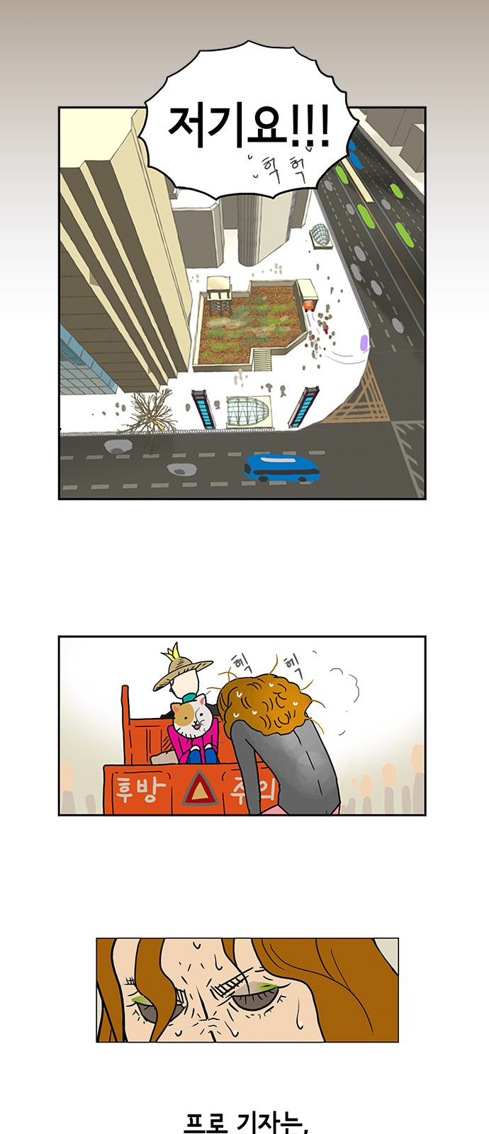 16 페이지