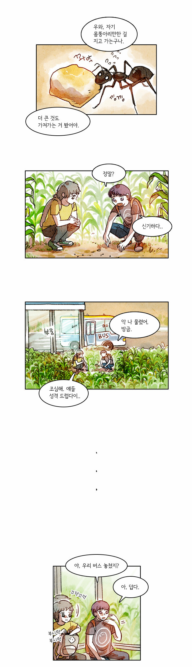 5 페이지