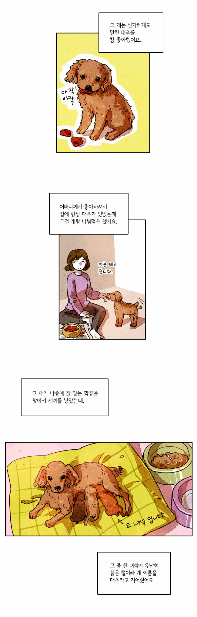 6 페이지