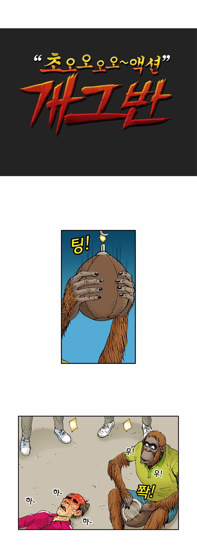 5 페이지